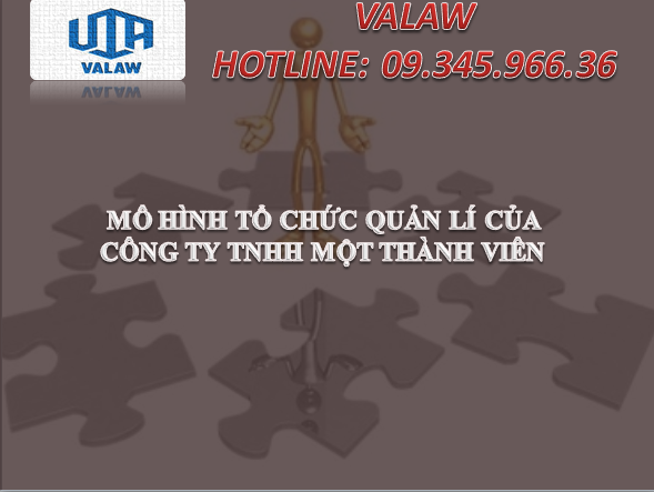 MÔ HÌNH TỔ CHỨC QUẢN LÍ CỦA CÔNG TY TNHH MỘT THÀNH VIÊN